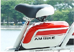 Yên Xe đạp điện Ambike AF